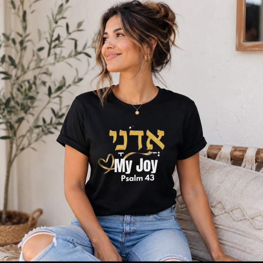 Adonai My Joy T-Shirt, Hebrew Psalm 43 Shirt, Christian Faith Tee, Messianic Hebrew Clothing, Bible Verse Apparel, Inspirational Gift
